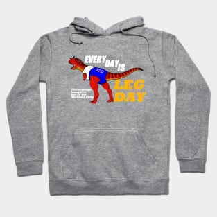 Everyday is leg day Hoodie